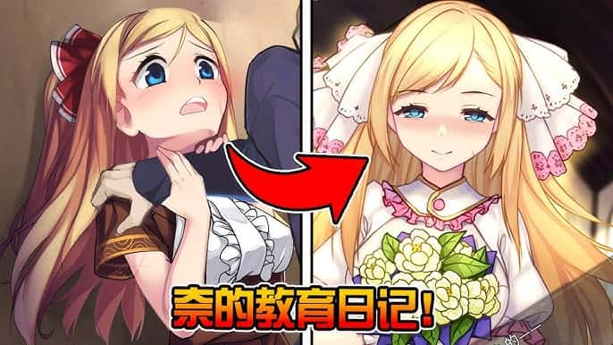视觉数据5