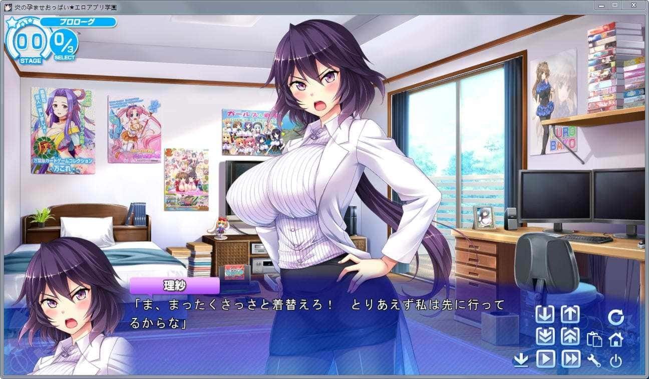 炎孕系列 存档备份 预览图 5