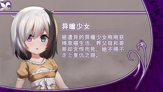 光与影的二重身 圣骑士路线 专题图 6