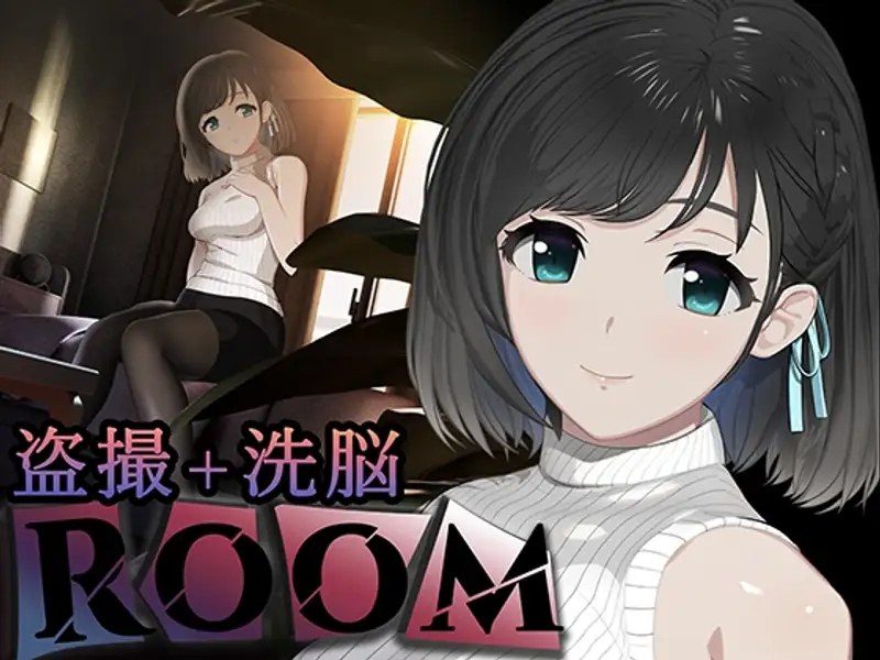 ROOM ROOM游戏攻略状态面板新手要点 封面图